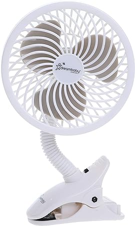 Dream Baby  fan